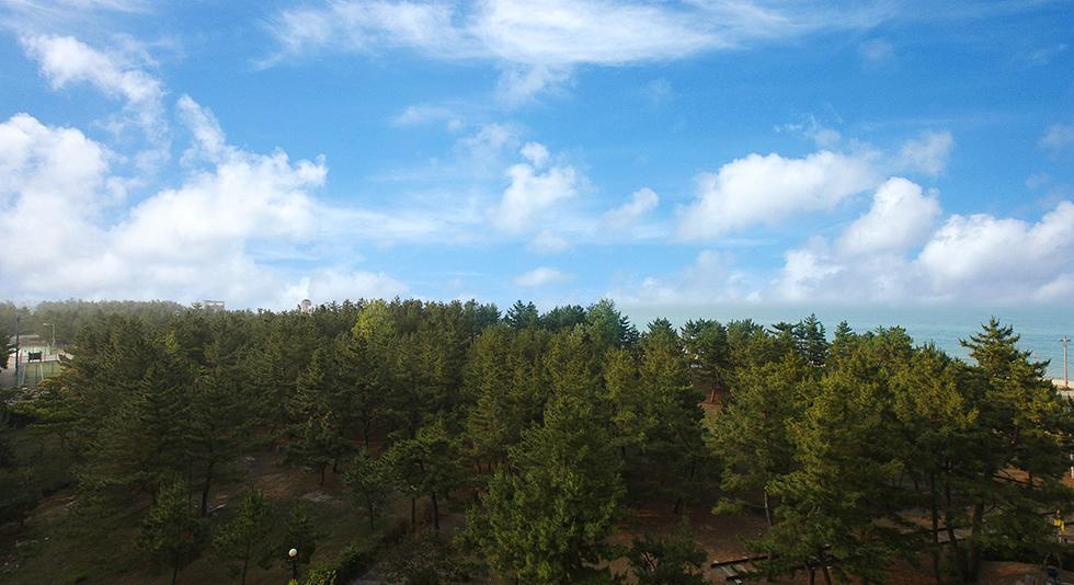 Jumunjin Resort Gangneung Exteriör bild