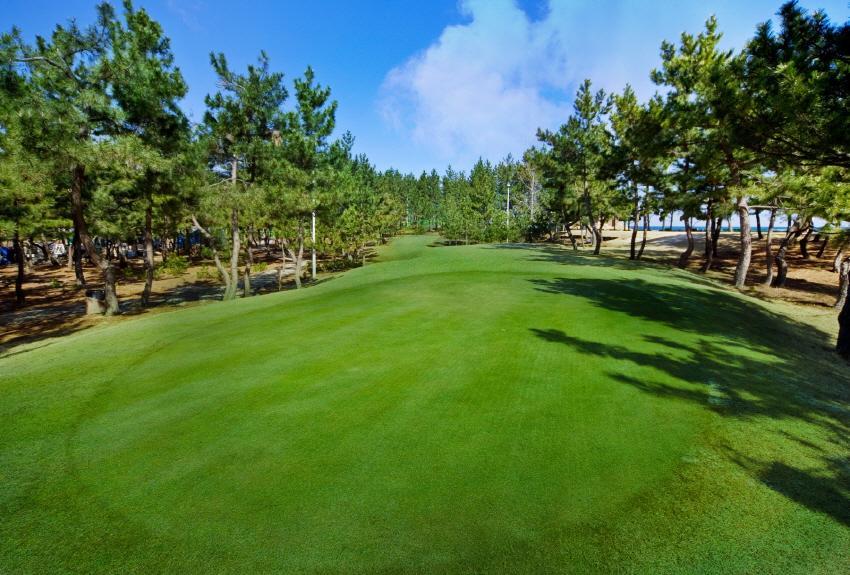 Jumunjin Resort Gangneung Exteriör bild